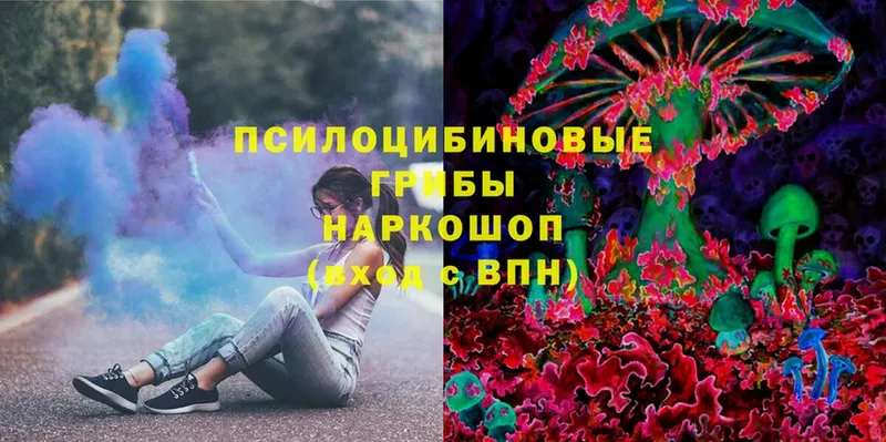 Галлюциногенные грибы MAGIC MUSHROOMS  где найти наркотики  Злынка 